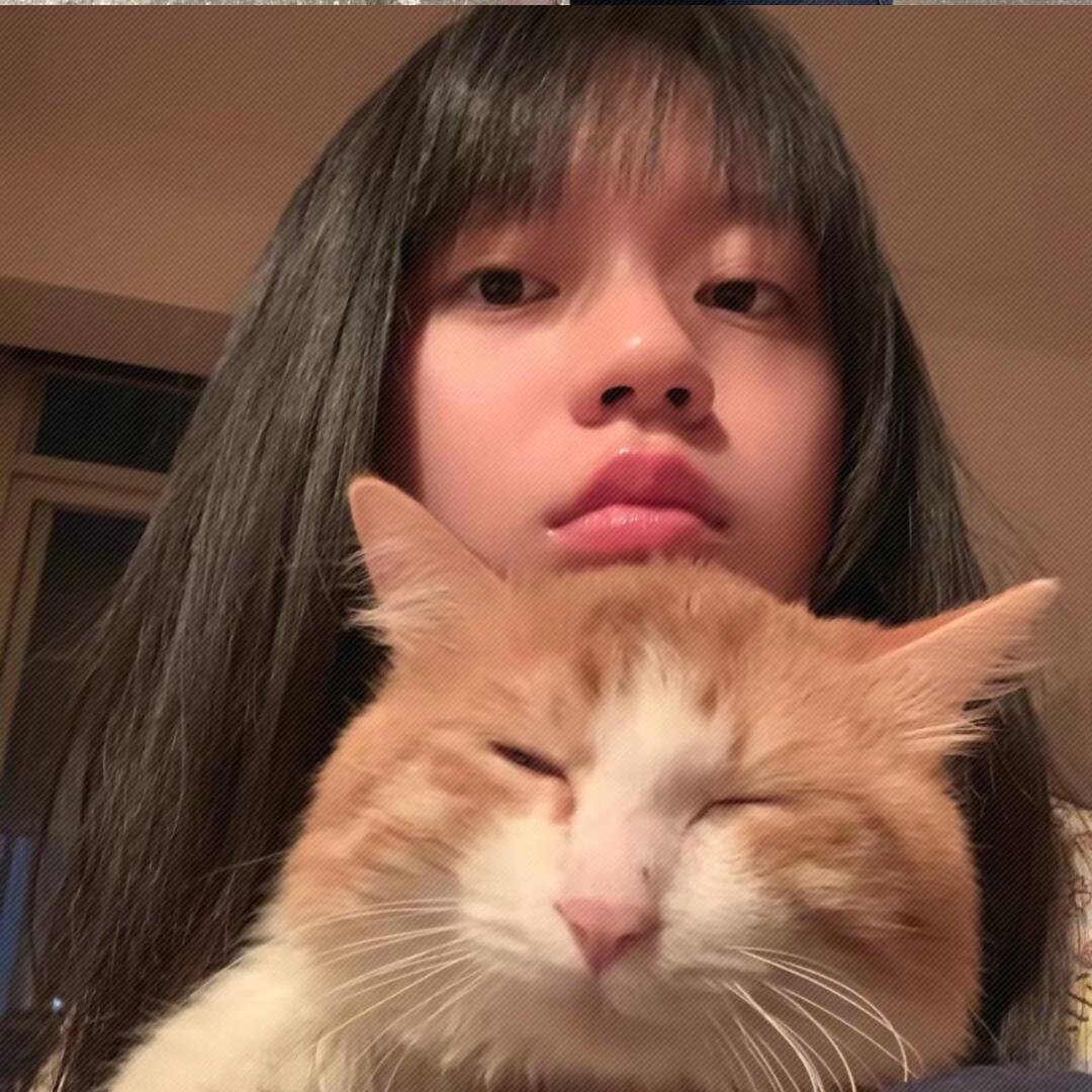 乐乐-