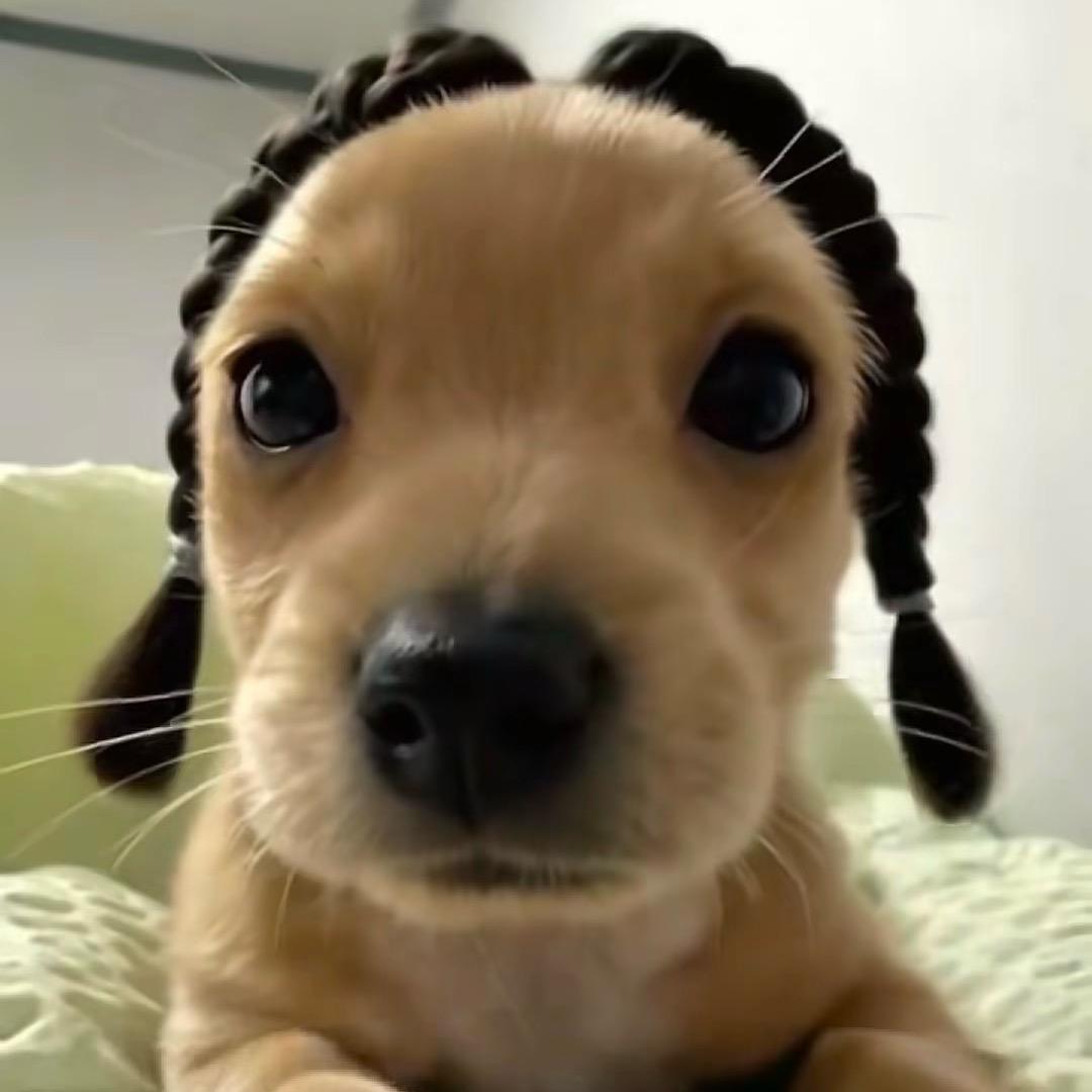 好好大美女