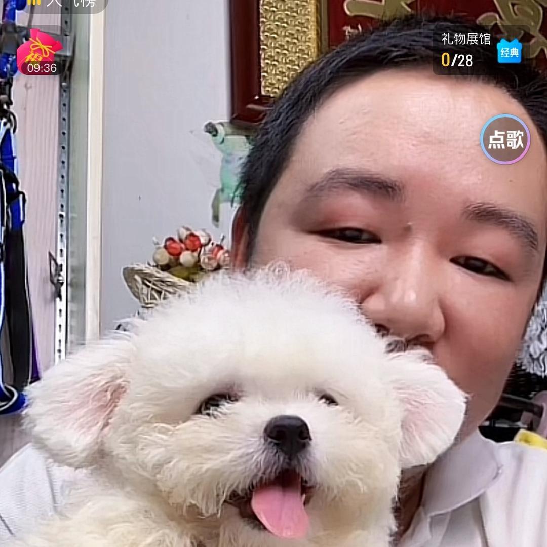 南通汪七七宠物