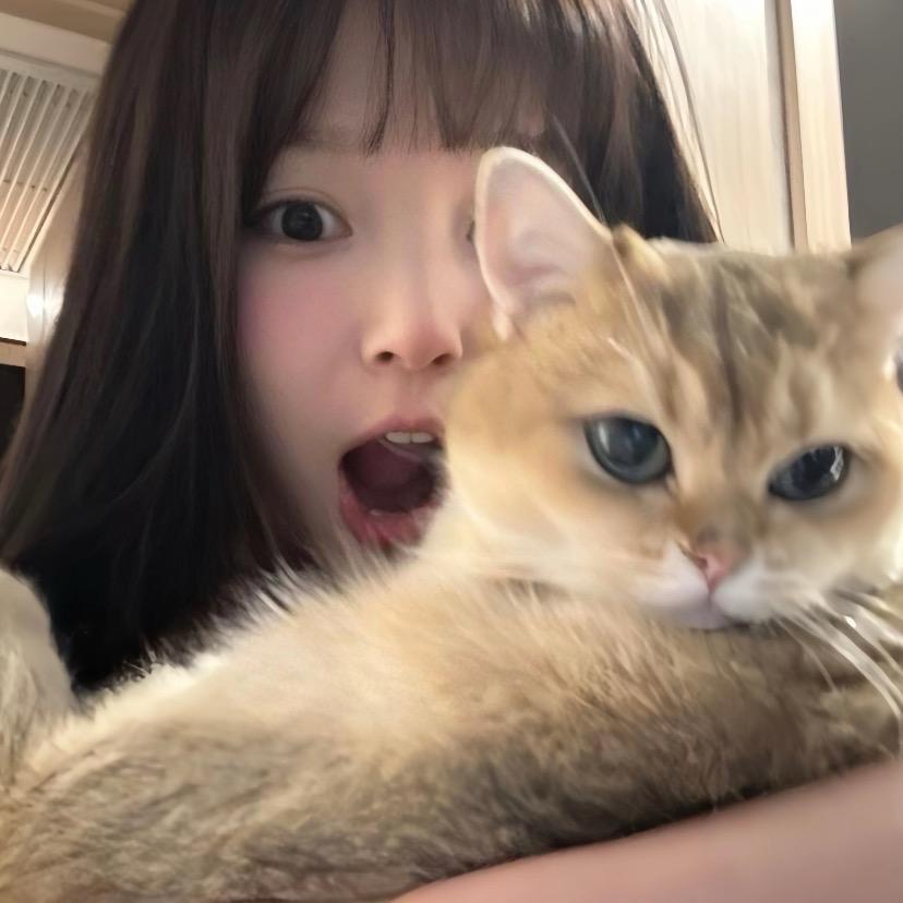 远山黛黛