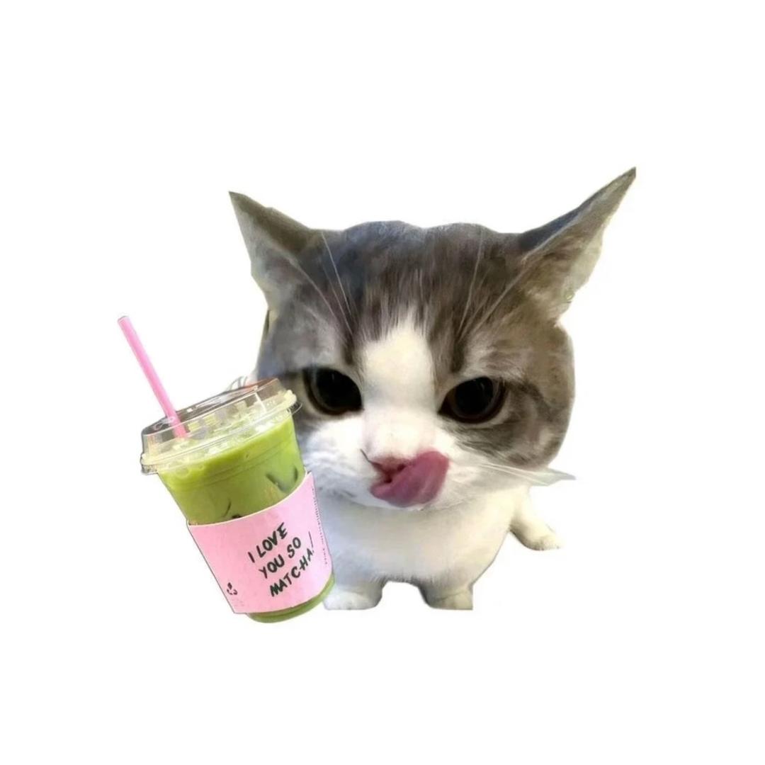 好人微坏◠‿◠