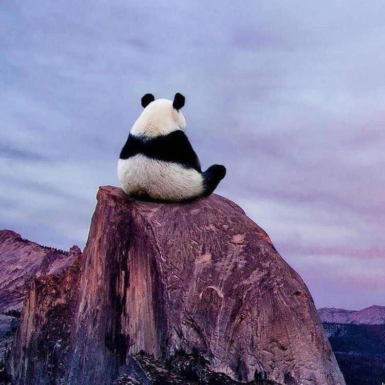 路人甲@