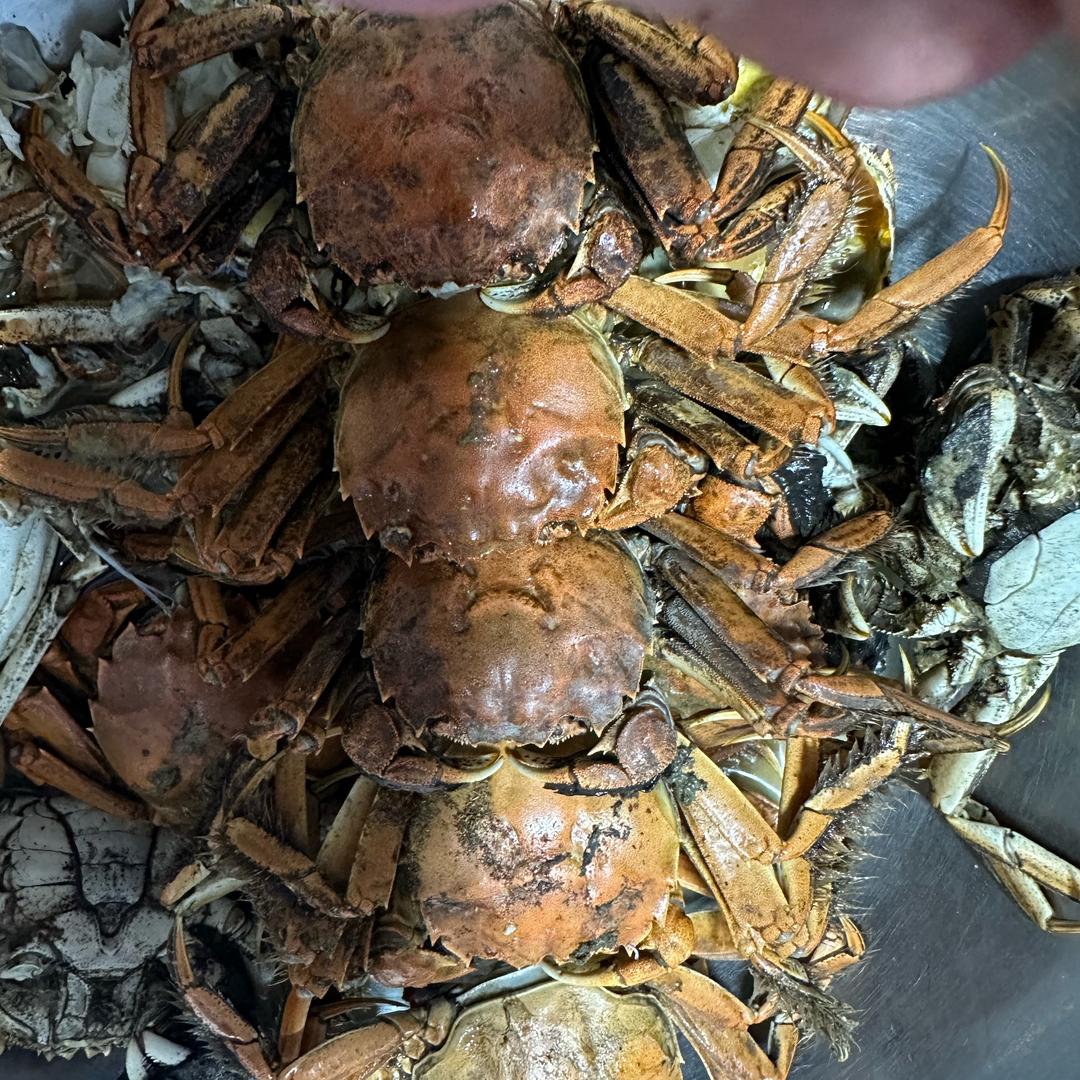 卖螃蟹的装卸工