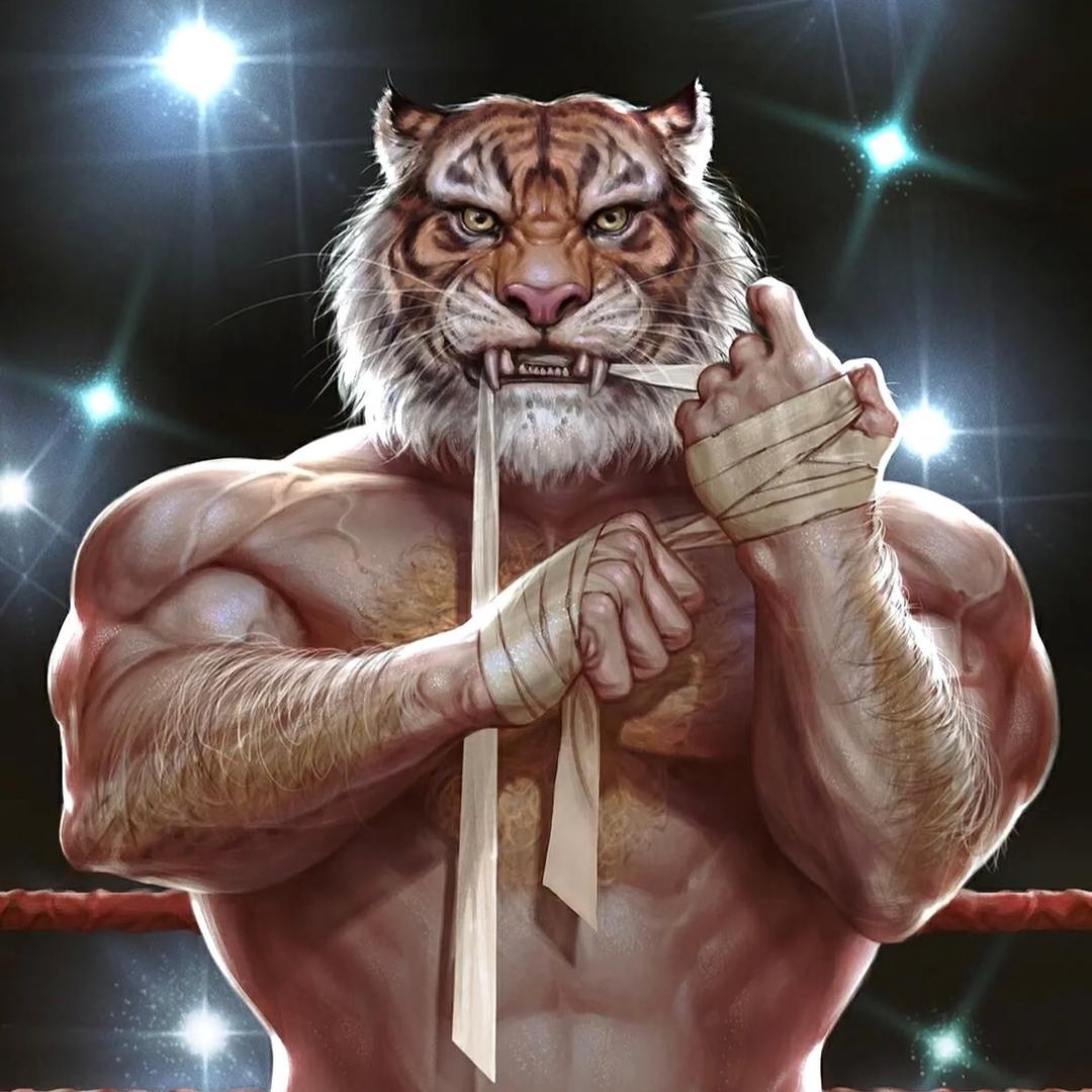 新乡启明星体育俱乐部