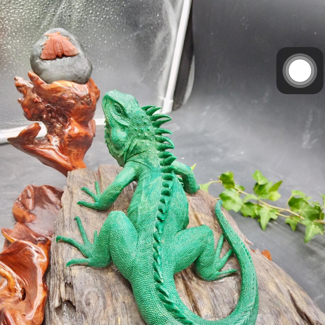 喜欢石头关注我