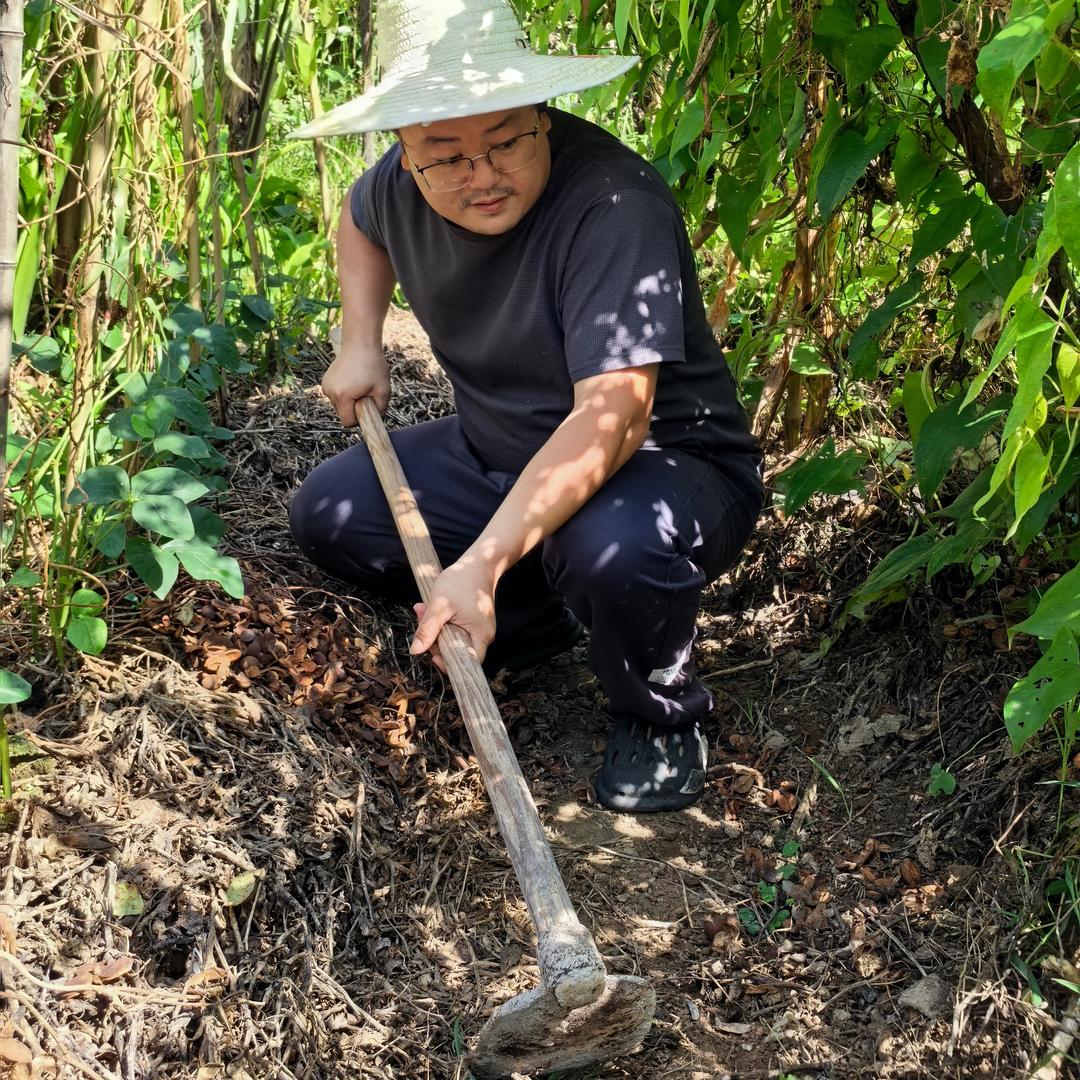 一亩三分闲