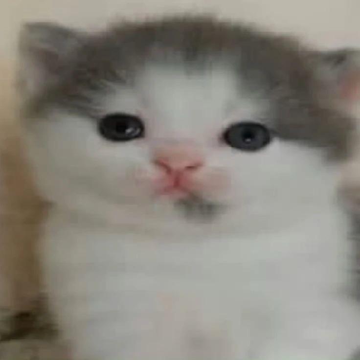 Cri（反说唱