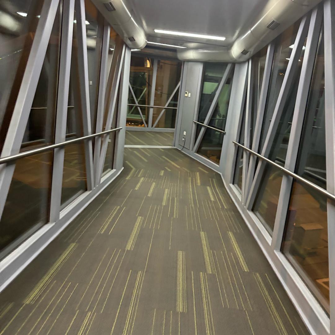 🧚🏻‍♂️精灵🧚🏻‍♀️