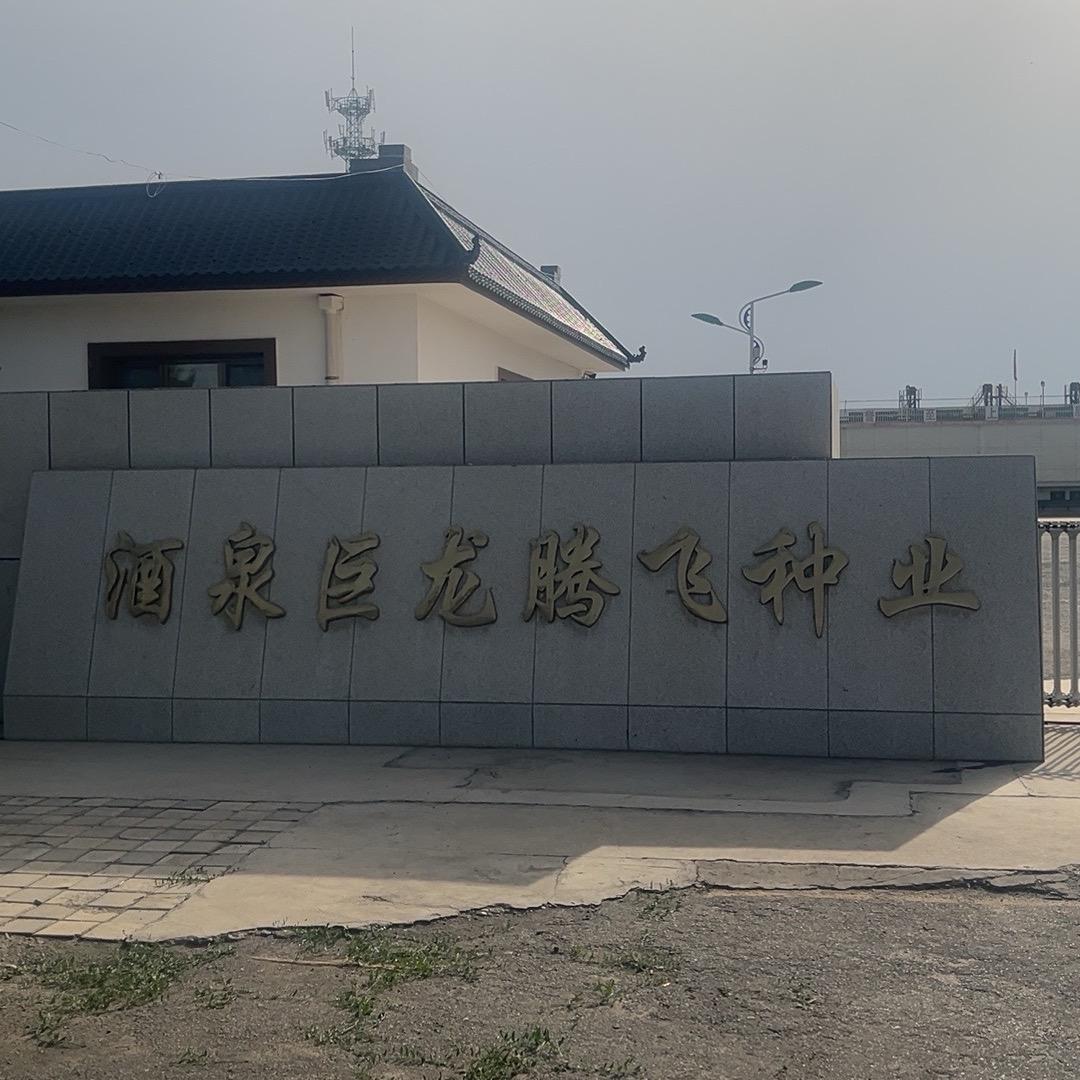 酒泉市巨龙腾飞种业有限责任公司