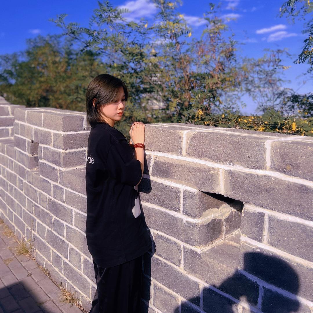 贾小闹