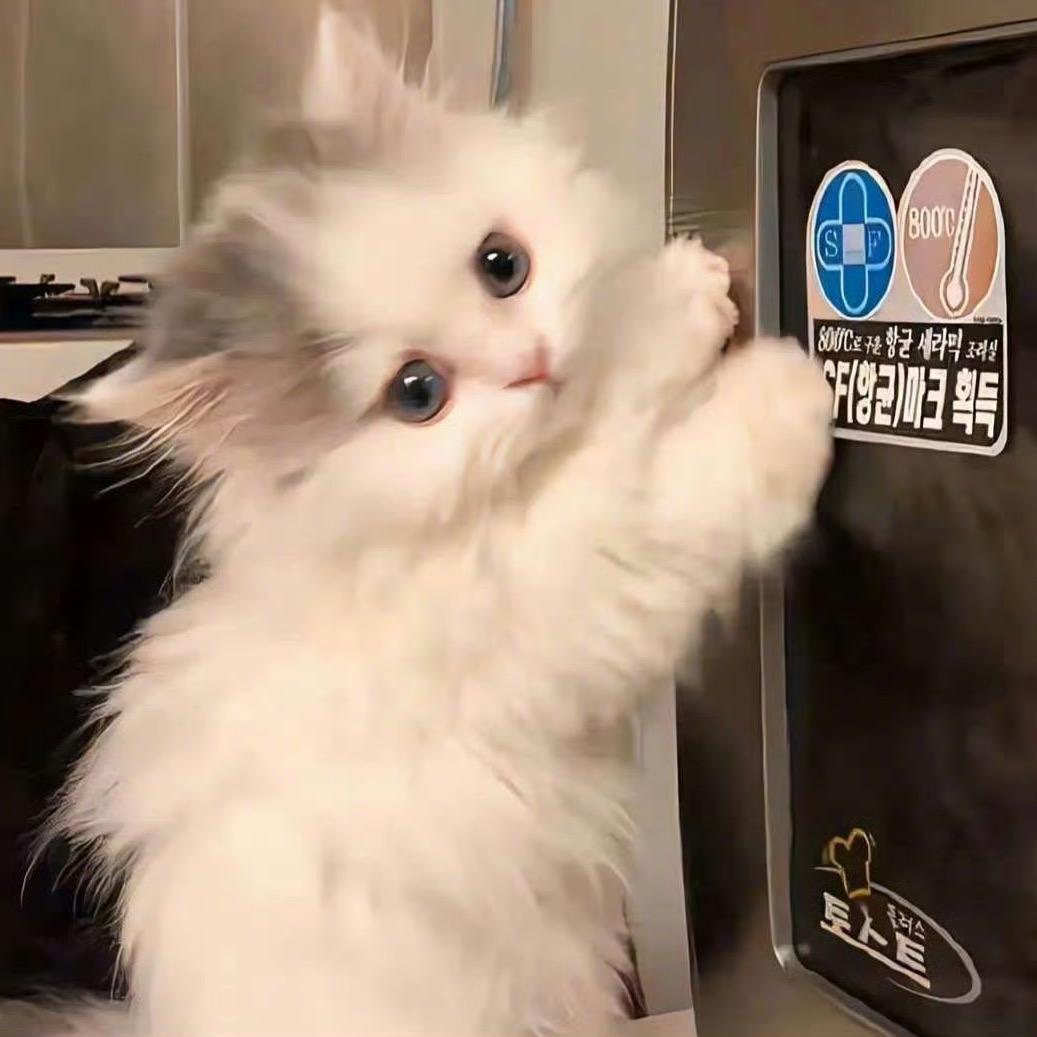 关你什么柿