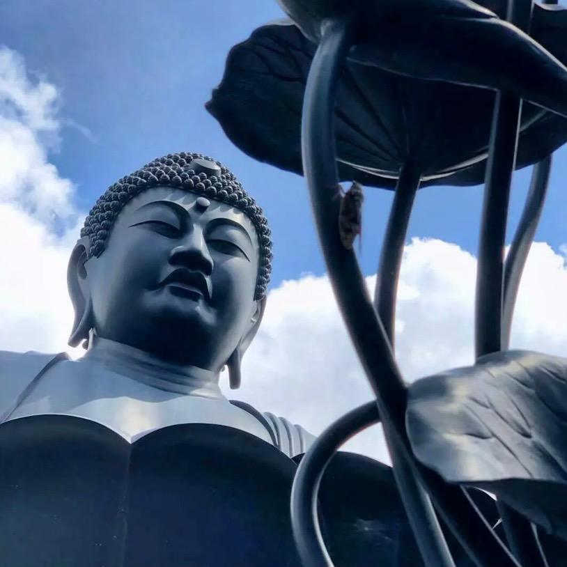 今天你还好吗