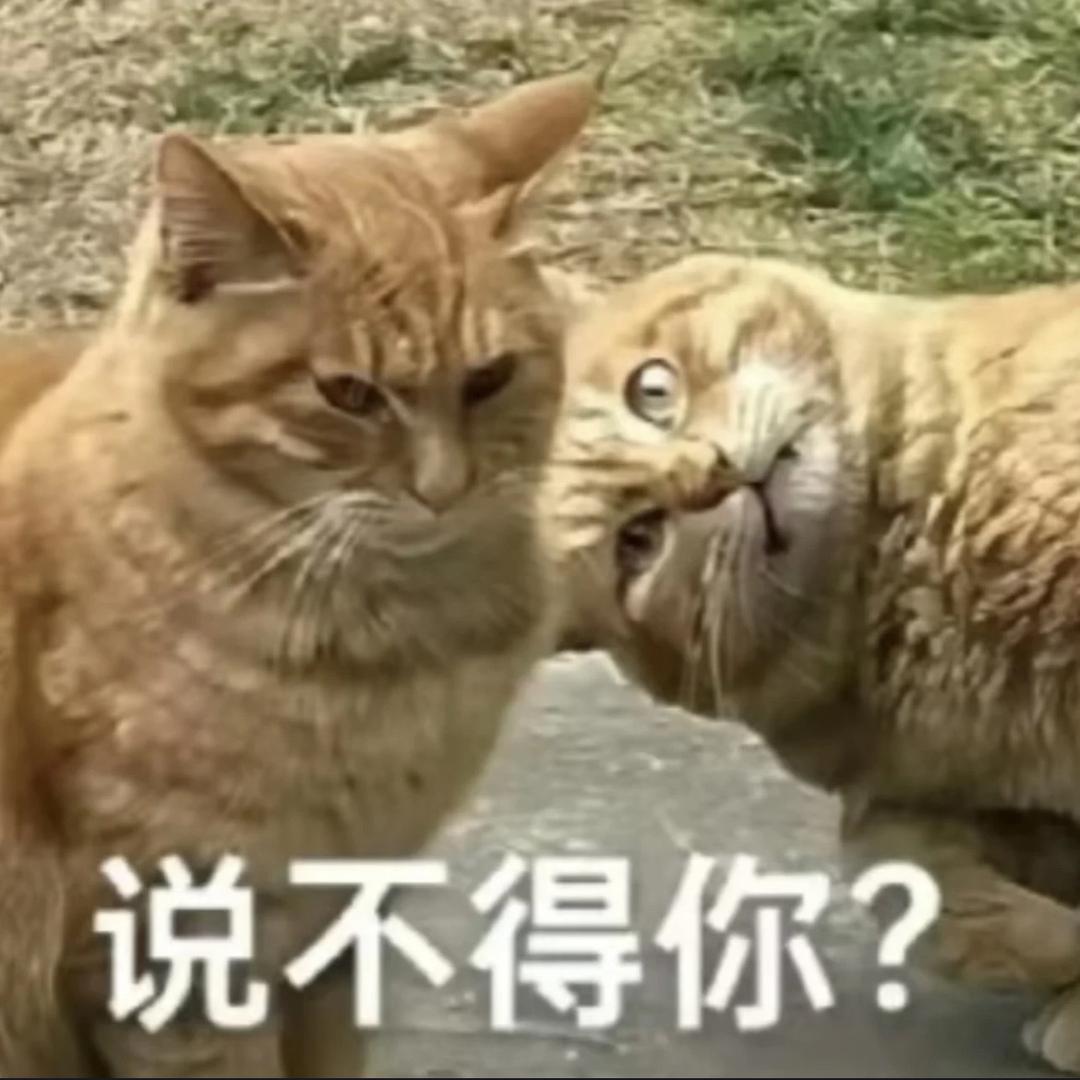 野蔷薇电竞