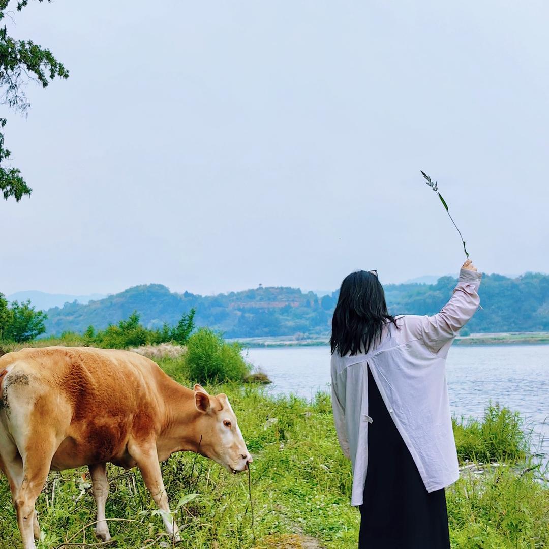 少少少吃点❤️