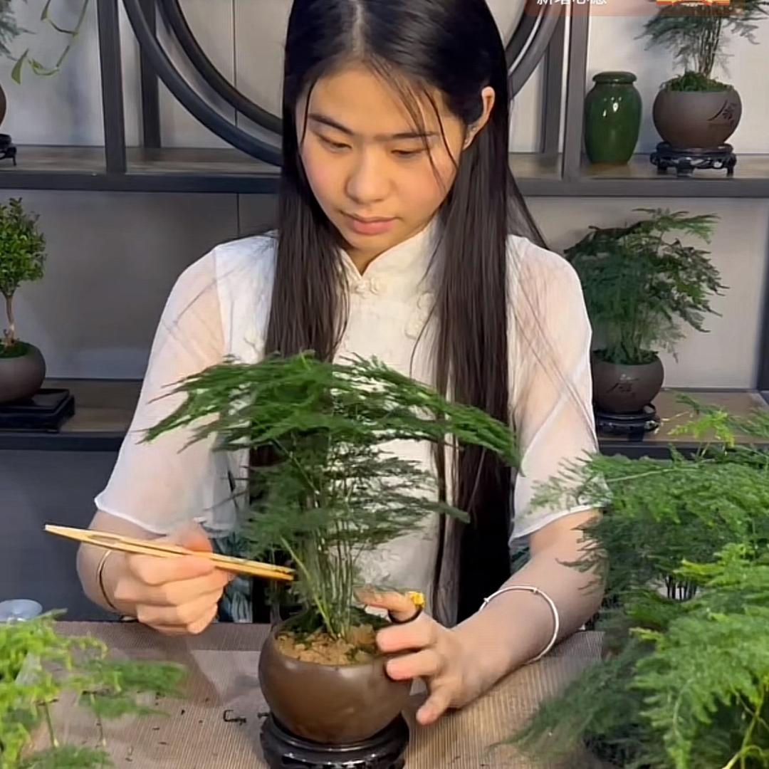 文小姐微景观