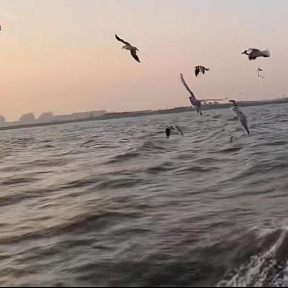海阔天空666