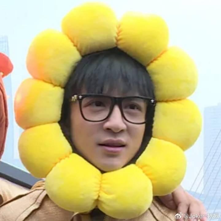 花草木🪴(登船版)