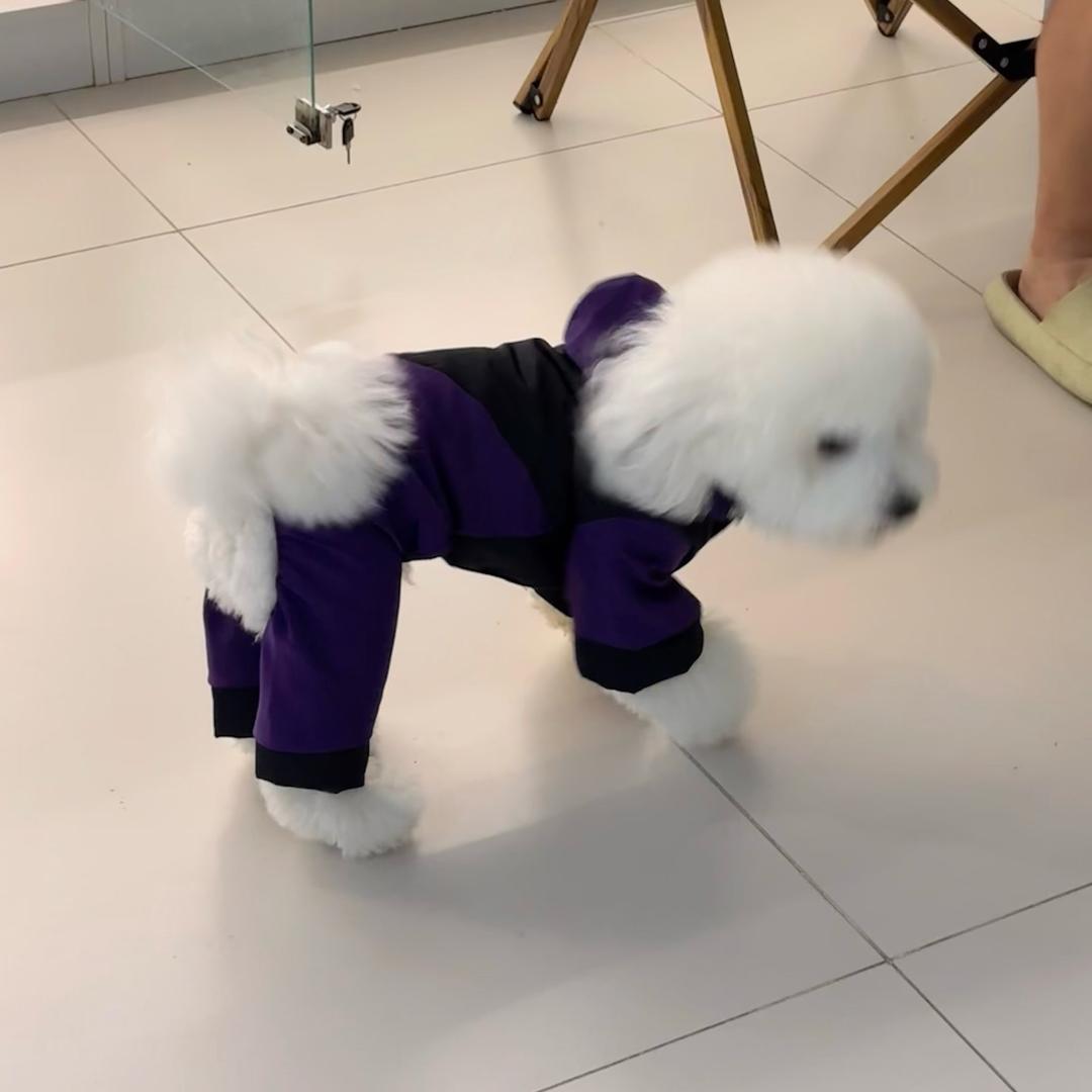 来咯