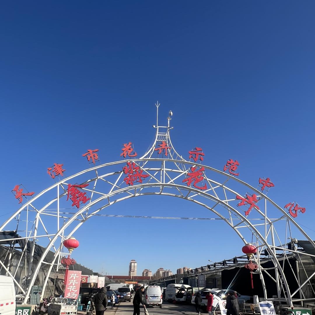 天津鑫淼花卉市场