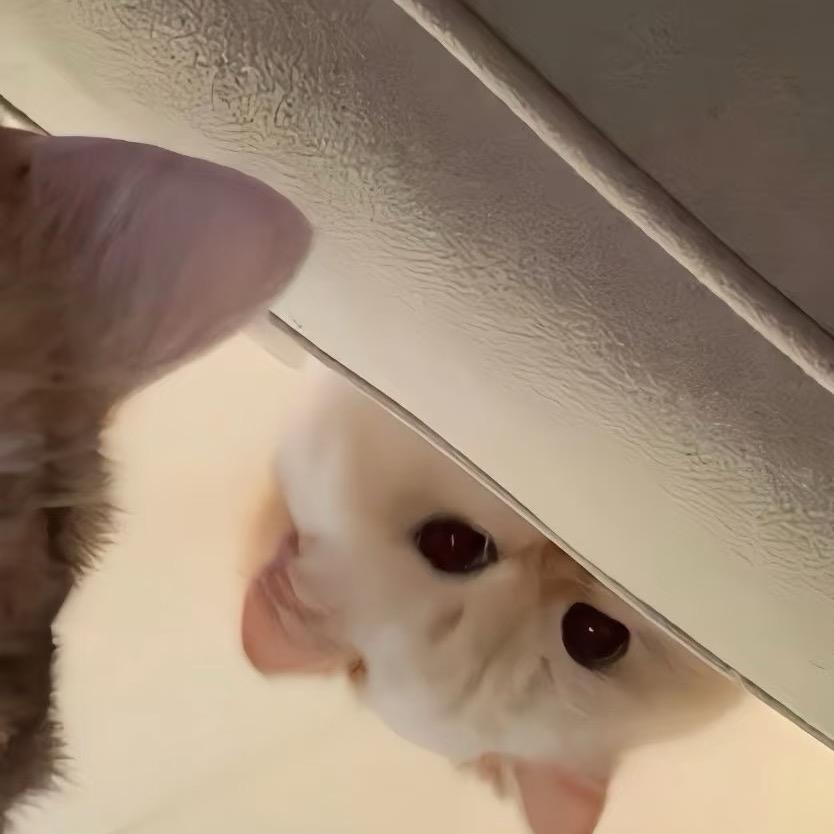 🧊