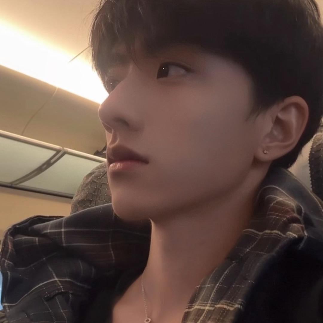 铝树纱窗