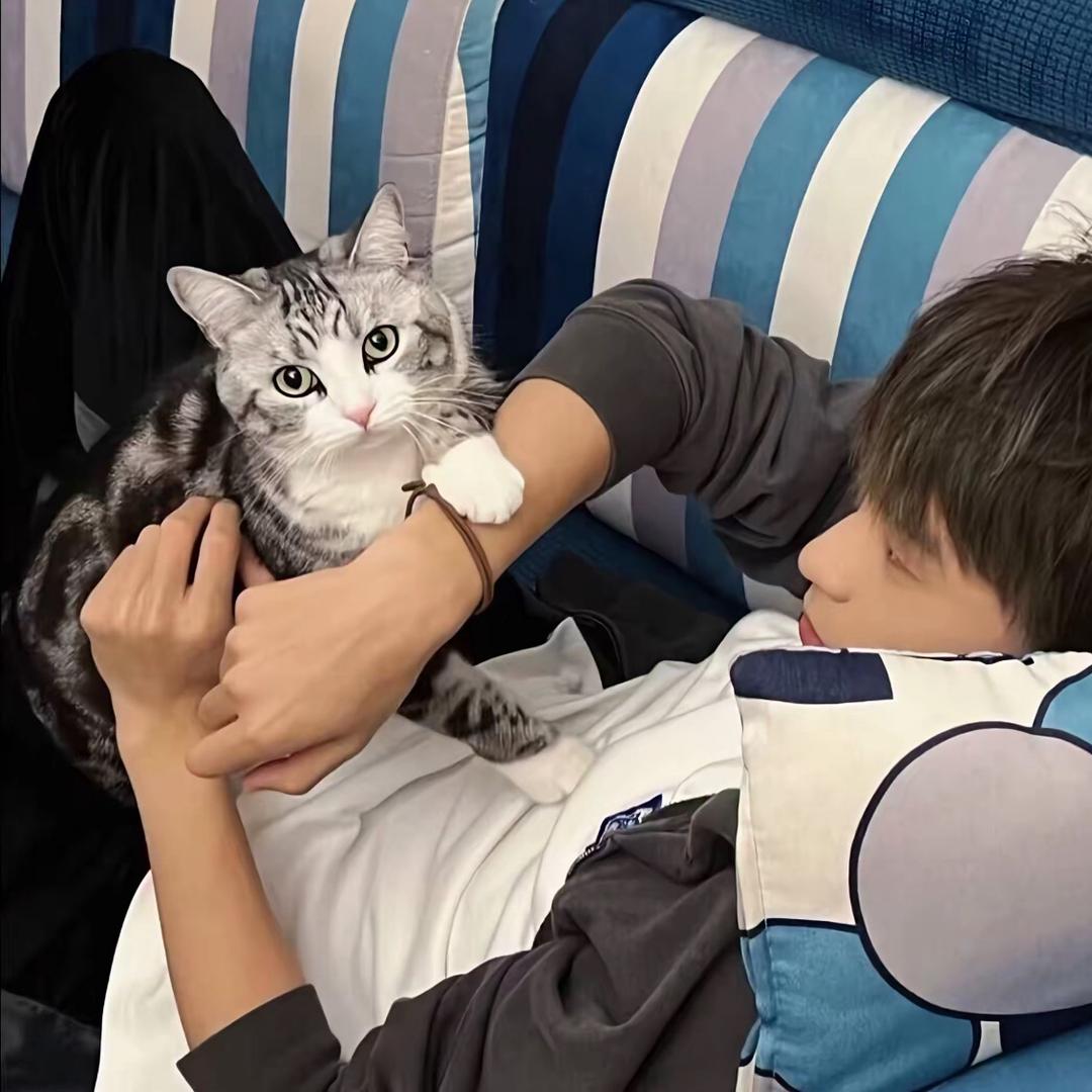 Lllllllllllllllll🌻