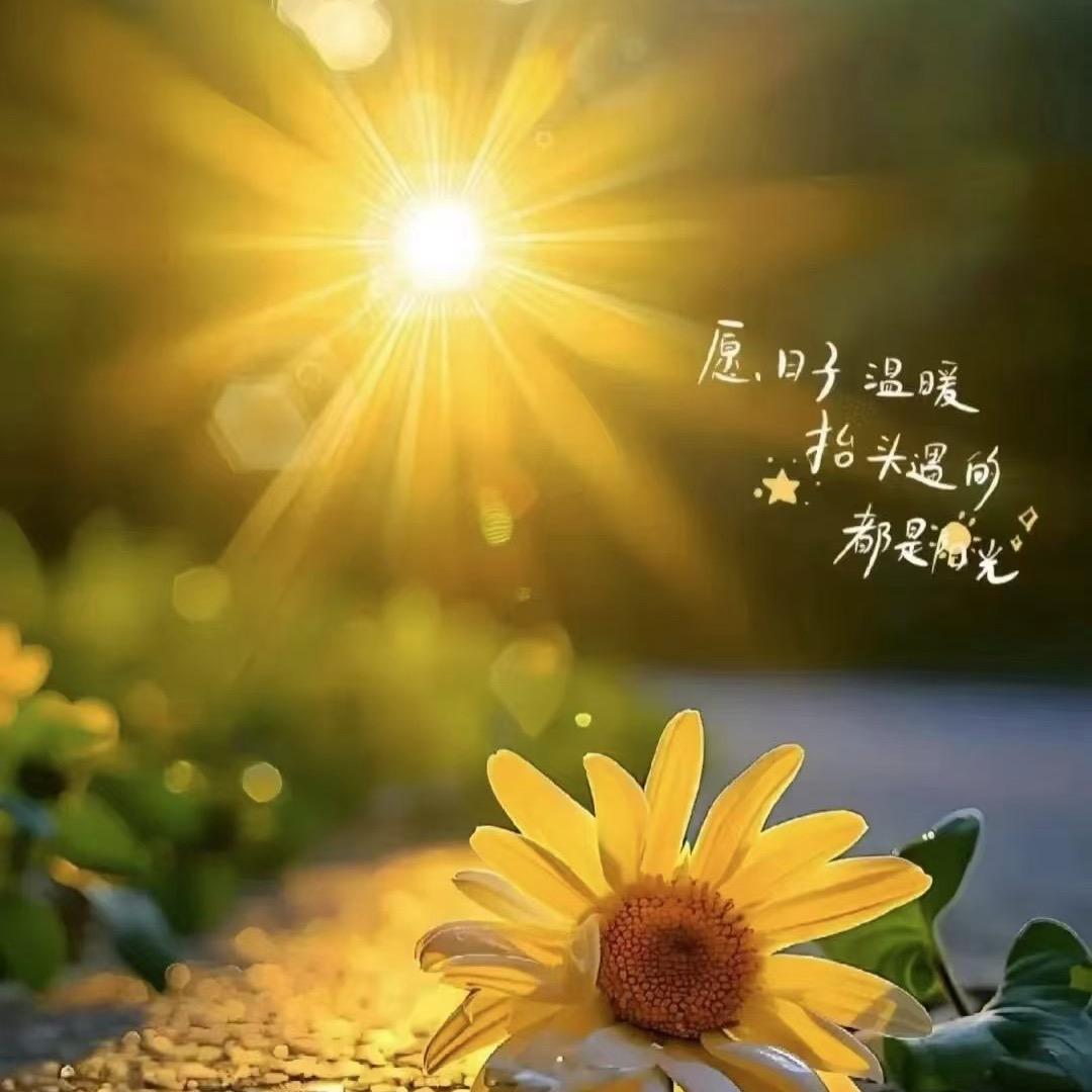 胡美丽好物
