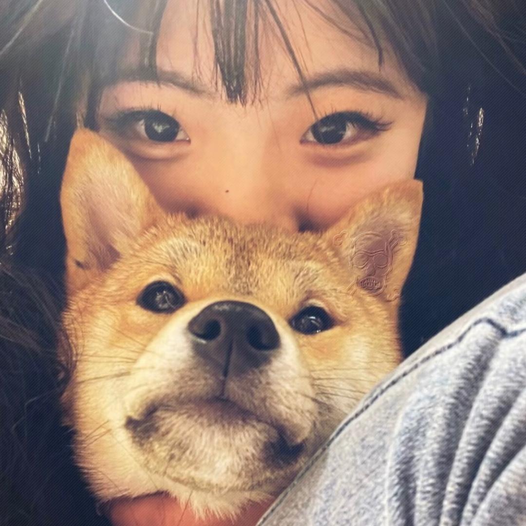 高频犯困
