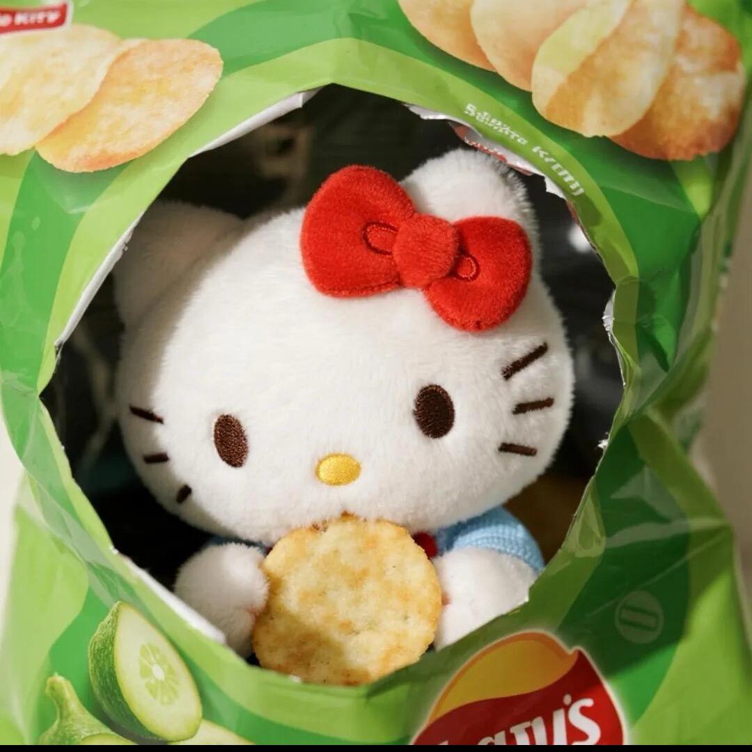 小猫不可以吃黄瓜味乐事薯片
