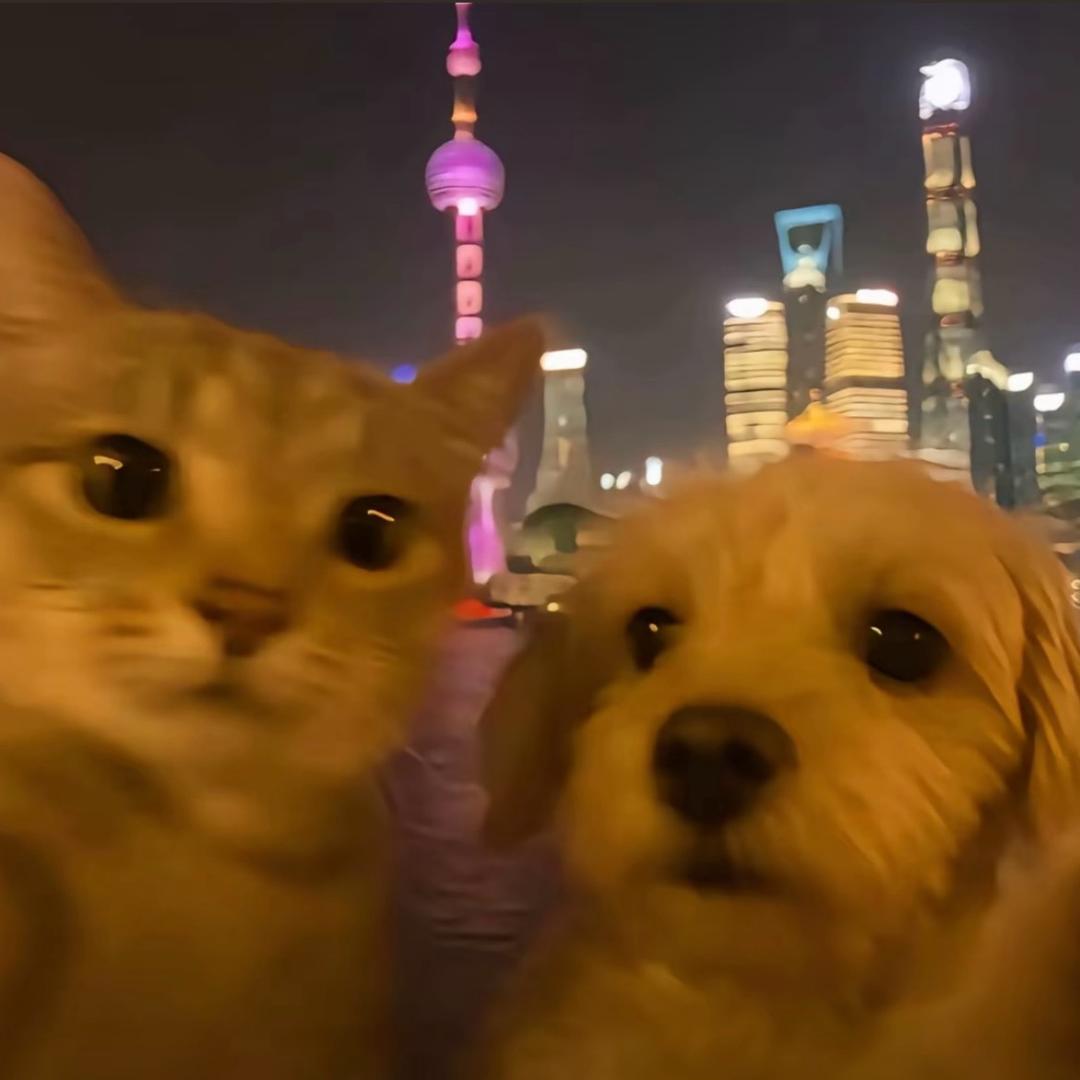 王泽坤