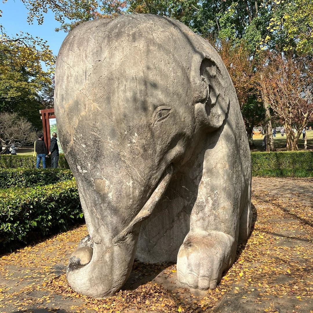 心向明月🌿🌈