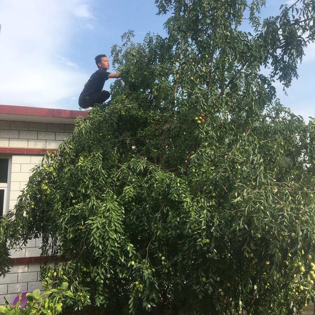 时光匆匆，