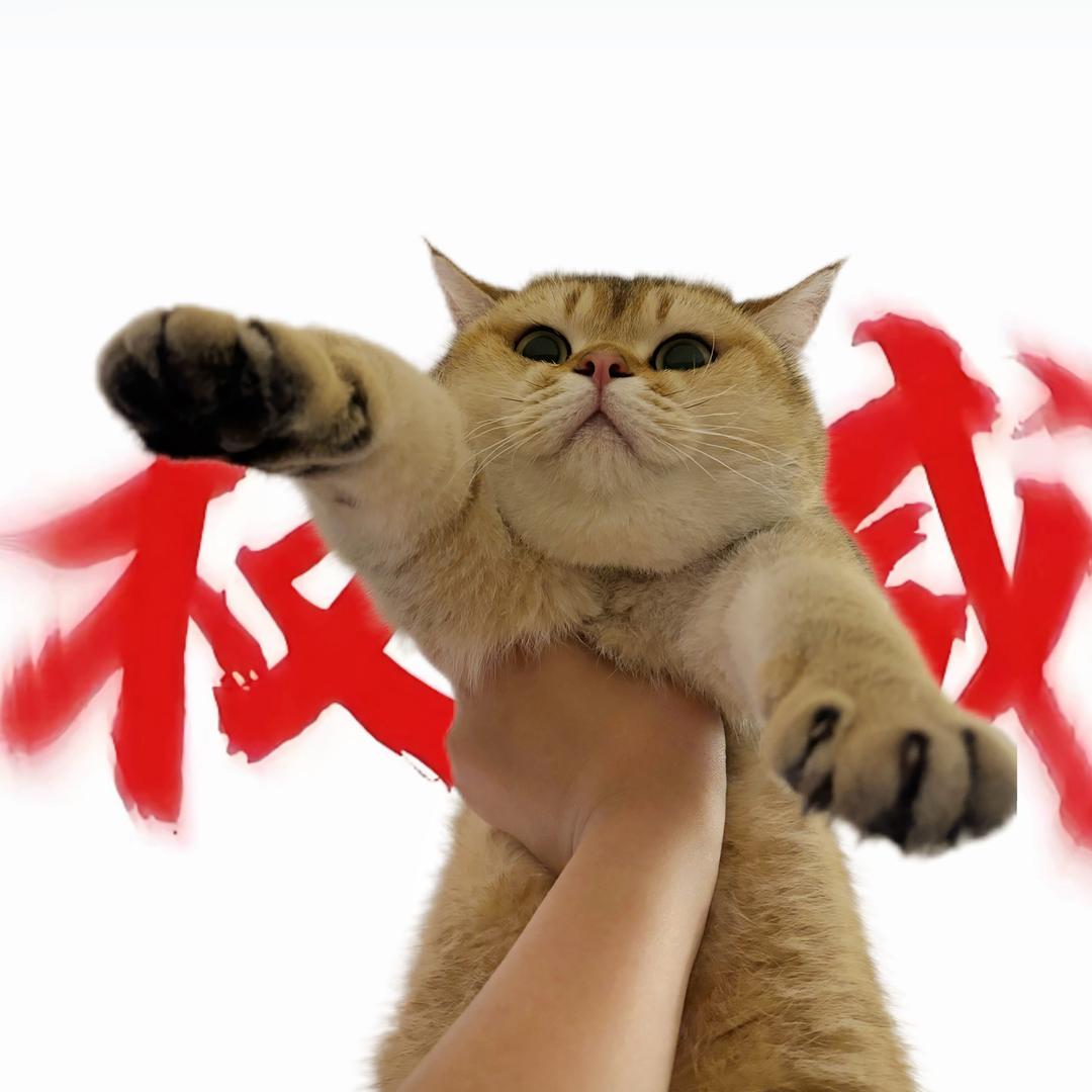 泡芙吃不吃
