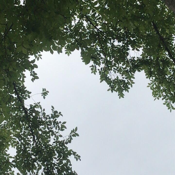 锦绣前程m