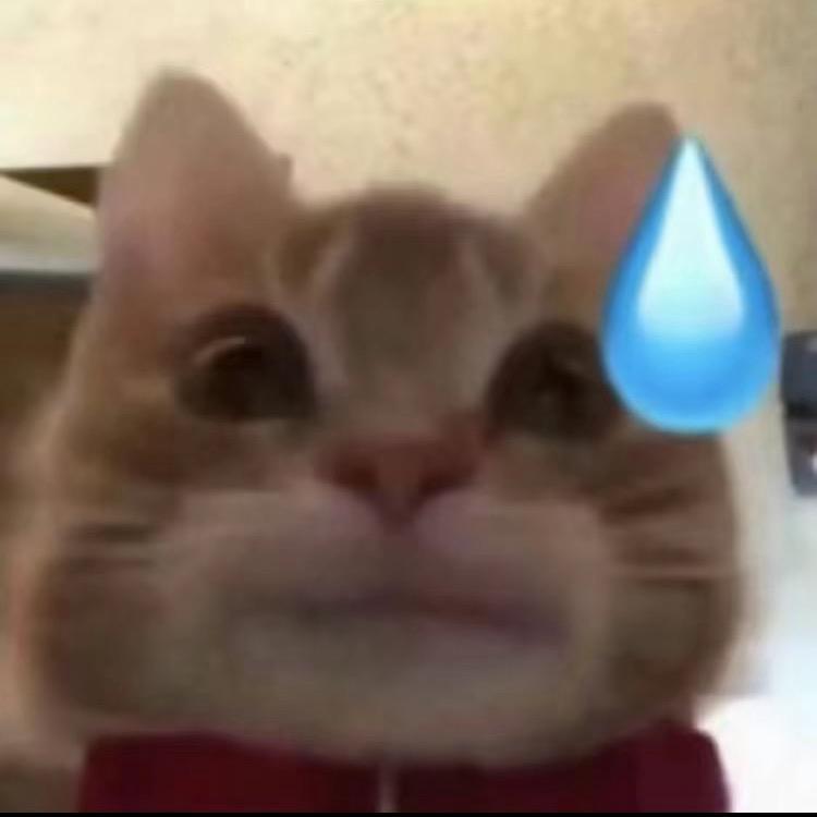 有马公主