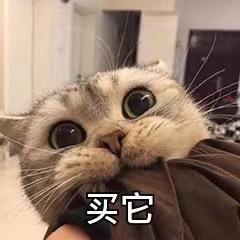 优佳女鞋1