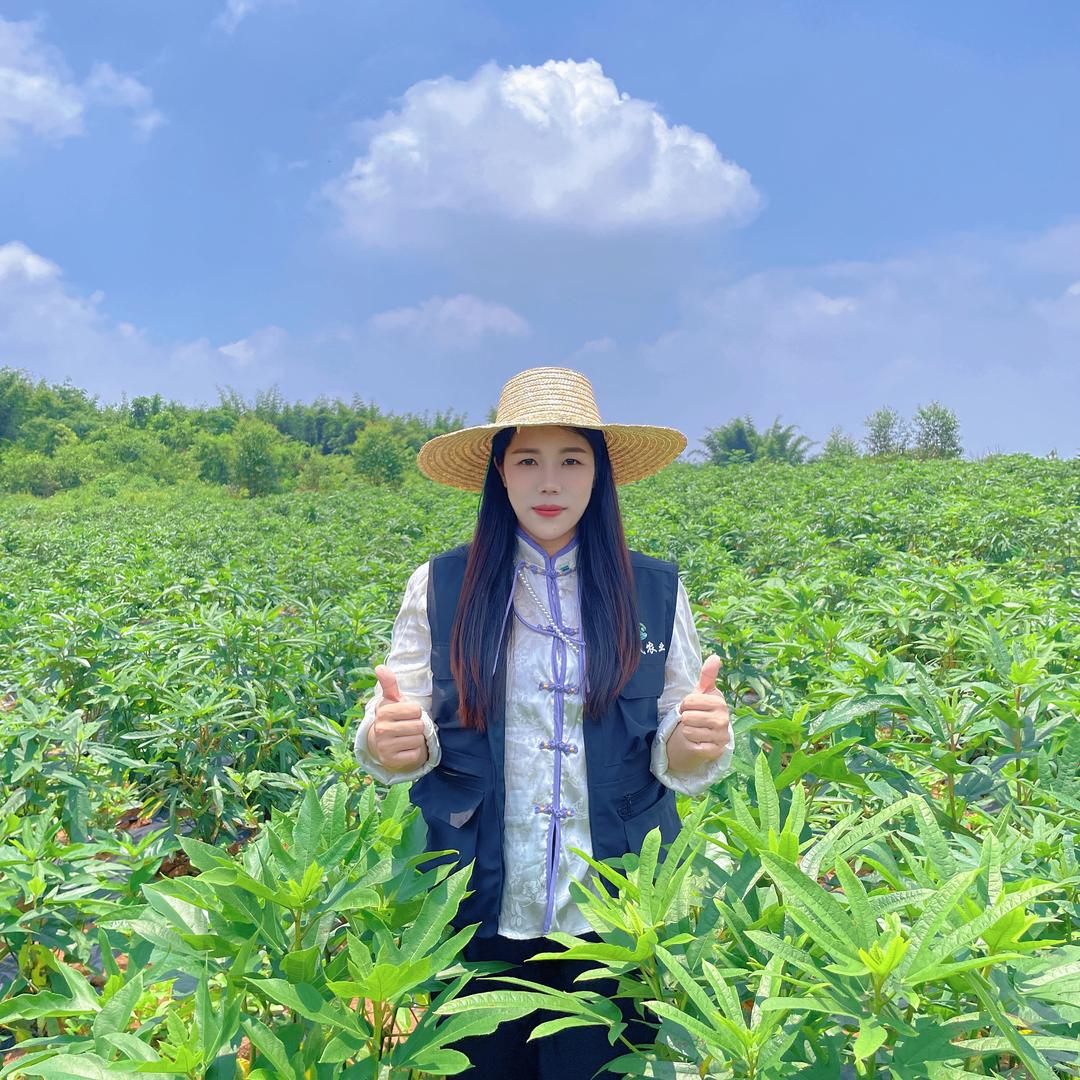 伍姑娘-韶关英诚农业