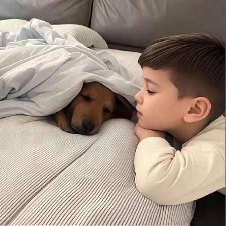 ㅤㅤㅤ天天開心