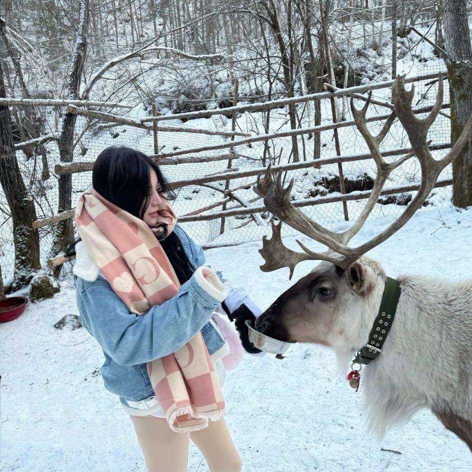 哪个尤