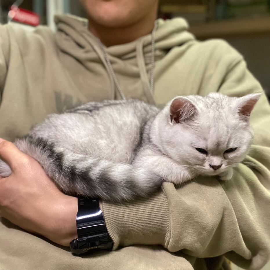 咖基米🐈