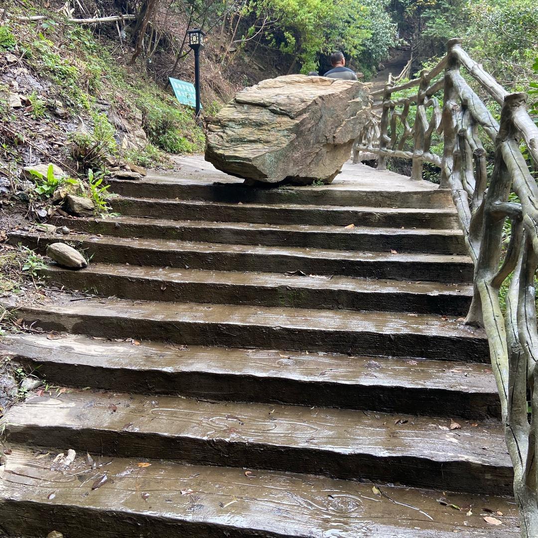 颍川世家