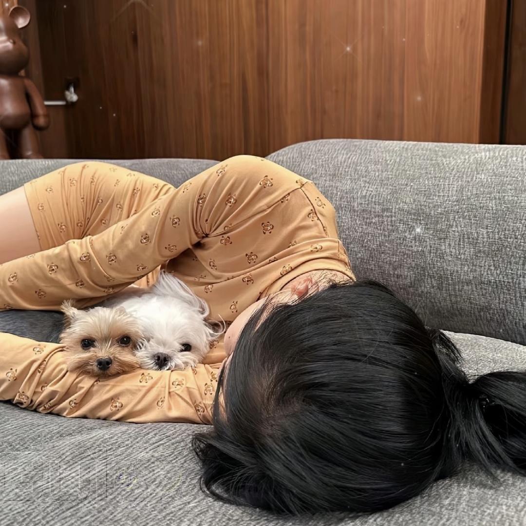 瑶瑶睡了吗