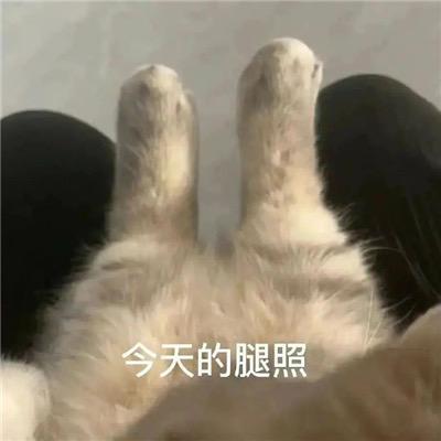 3Q