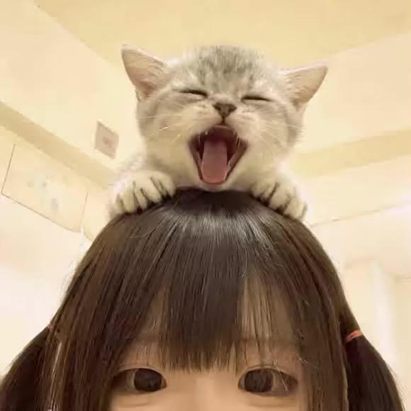 LaYou.