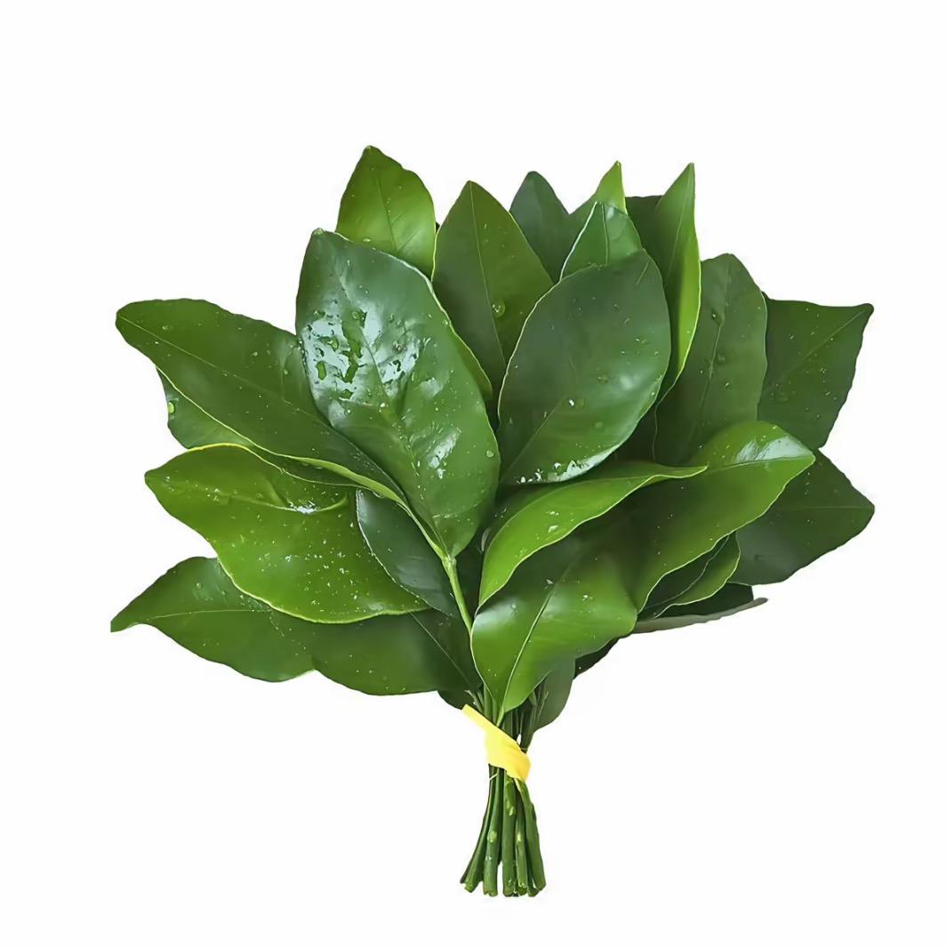 符发财