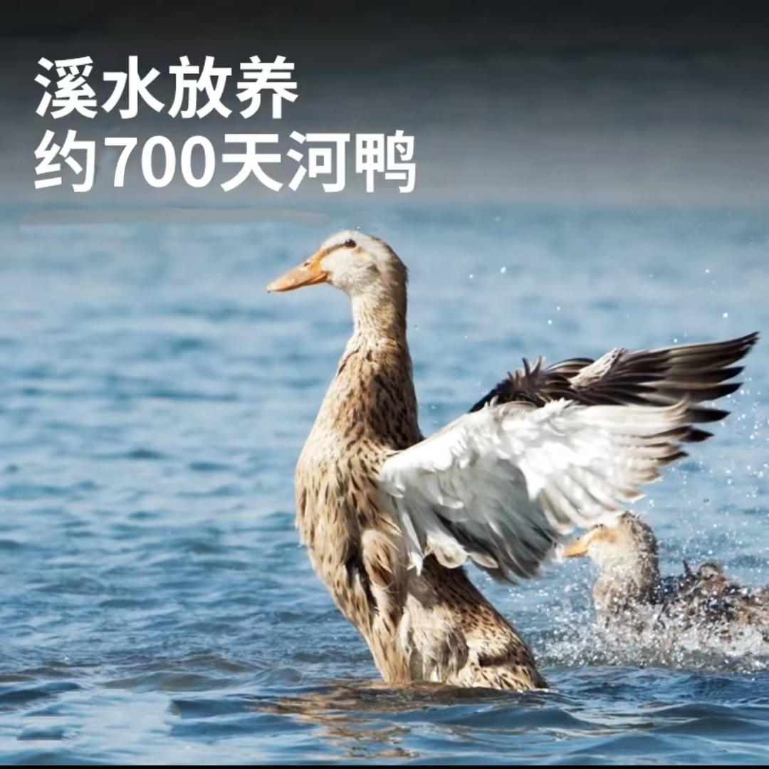 锄禾老农生鲜皖南川藏线溪水河鸭