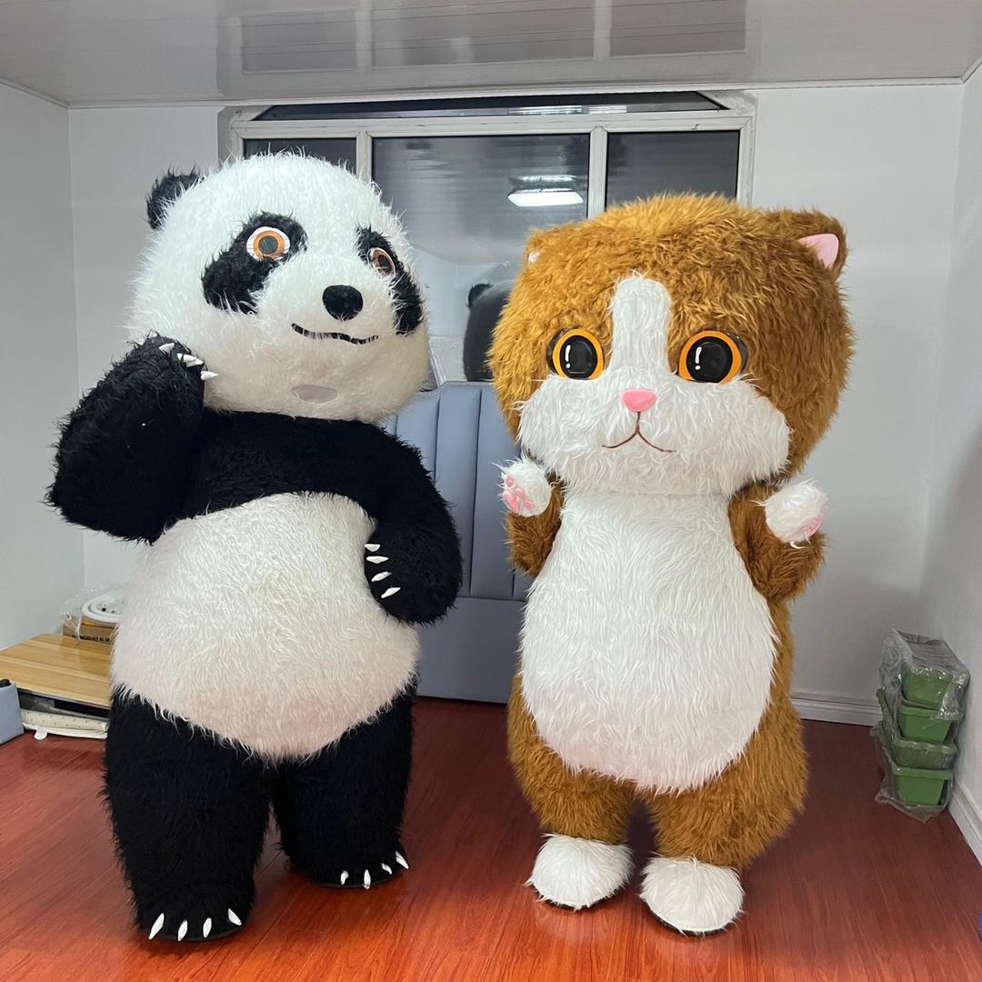 熊与猫