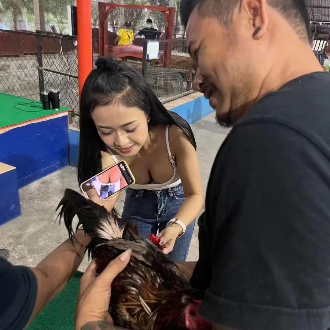 毒吊幺鸡