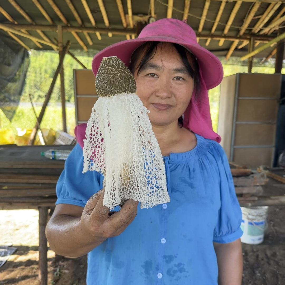 帮爸妈卖竹荪的小燕的店