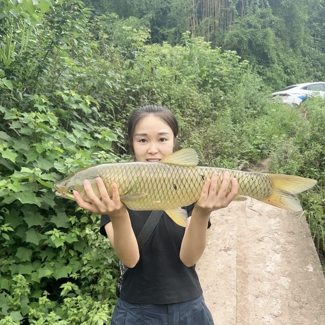 鱼哆哆户外渔具